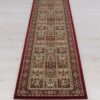 2040 Garden Red Runner_1